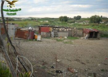 Carcasse animali disseminati nell’ovile, denunciati padre e figlia