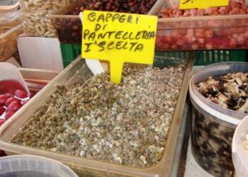 ‘Falsi’ capperi di Pantelleria venduti alla fiera crotonese