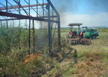 Bruciava rifiuti plastici e tossici, denunciato agricoltore crotonese