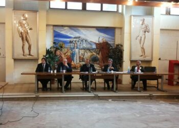 Ciro’ Marina, approvato regolamento per la sosta sulle strisce blu