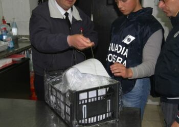 Crotonese, controlli a tappeto su tutta la filiera della pesca