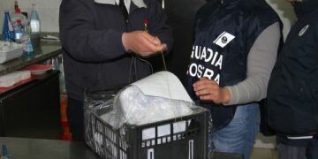 Crotonese, controlli a tappeto su tutta la filiera della pesca