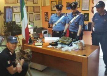 In casa ecstasy e marijuana, arrestato 27enne cutrene