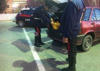 Esplosivo nell’auto, arrestato pescivendolo cutrese