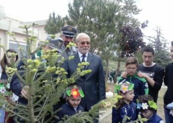 Saracena, un abete bianco per festeggiare l’ambiente