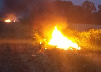 Bruciano polistirolo e tubi in gomma: 5 denunce