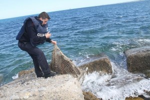Ricci di mare sequestrati