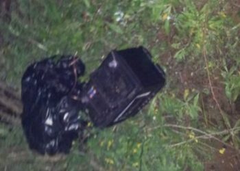 Petilia Policastro, sequestrati richiami illegali per quaglie