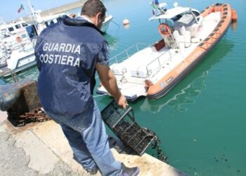 Sequestrati 30 chili di cozze non commestibili pescate nel porto di Crotone