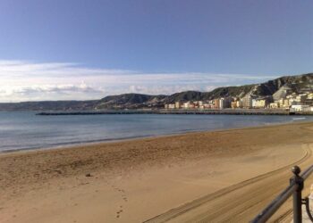 A Crotone spiaggia e lungomare gabinetto per cani