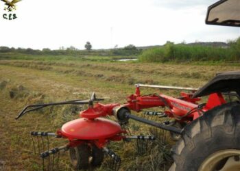 Occupato e coltivato abusivamente terreno, 2 denunce a Rocca di Neto