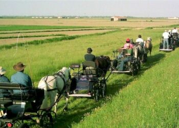 Trasporti, sindacati: di questo passo dove si vuole arrivare?