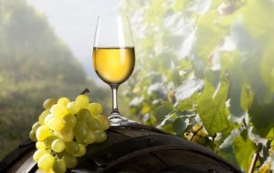 vino bianco