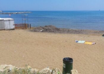 Alghe sulla spiaggia a Crotone, Pedace: attirano moscerini e formiche