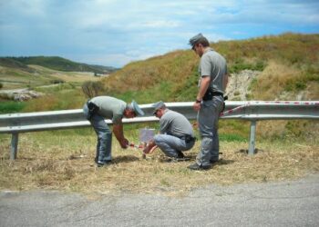 Grano coltivato su terreni inquinati, due denunce