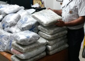 Maxi sequestro di marijuana sulla SS106