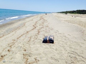 Droga trova sulla spiaggia (1)