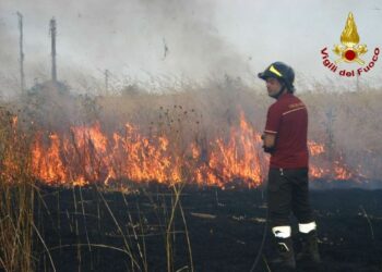 I primi incendi a Crotone, a fuoco sterpi nella zona industriale
