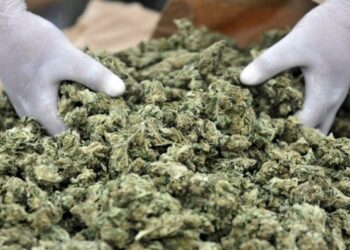 Smantellato traffico di droga nel napoletano, forniture anche da Ciro’ Marina