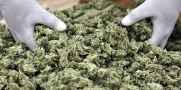 Smantellato traffico di droga nel napoletano, forniture anche da Ciro’ Marina