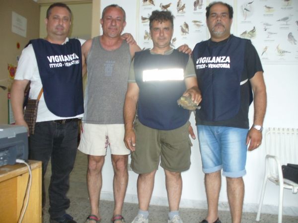 Liberata la testuggine ritrovata nel cirotano
