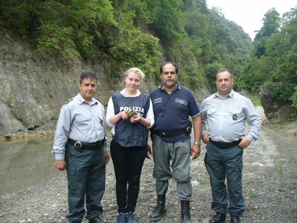 Liberata la testuggine ritrovata nel cirotano