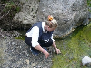 Testuggine liberata nel cirotano (4)