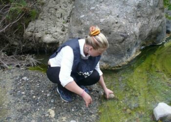 Liberata la testuggine ritrovata nel cirotano