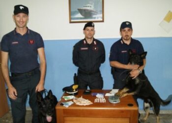 Mesoraca: ‘Nito’ fiuta nascondiglio droga, spacciatore colpito da infarto