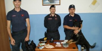 Mesoraca: ‘Nito’ fiuta nascondiglio droga, spacciatore colpito da infarto