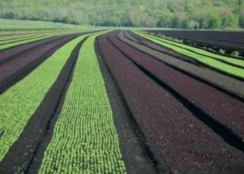 A Santa Severina convegno sulla politica agricola comune