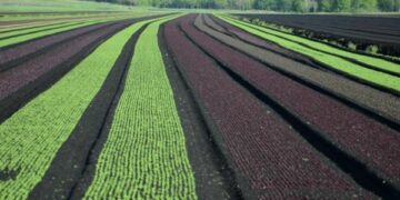 A Santa Severina convegno sulla politica agricola comune