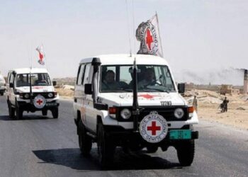 Stage retribuiti alla Croce Rossa Internazionale