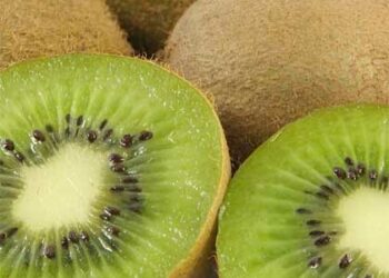 La coltivazione del Kiwi in Calabria, realta’ e prospettive