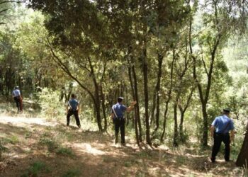 Bimbo di 7 anni si perde in montagna nel crotonese, salvato dai Carabinieri