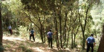 Bimbo di 7 anni si perde in montagna nel crotonese, salvato dai Carabinieri