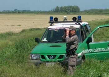 Truffa all’Arcea, denunciati due imprenditori agricoli crotonesi