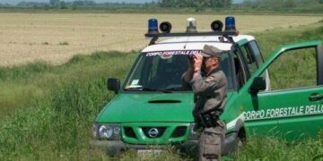 Truffa all’Arcea, denunciati due imprenditori agricoli crotonesi