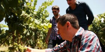 Antonio Cufari nuovo enologo della Contea del Ciro’