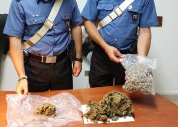 Sequestrato oltre un chilo di marijuana dopo inseguimento su SS106