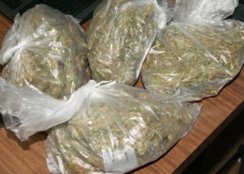 Marijuana in auto, arrestato 22enne nel cosentino