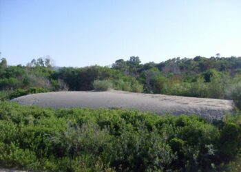 Salvare la biodiversita’ della Marinella