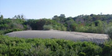 Salvare la biodiversita’ della Marinella