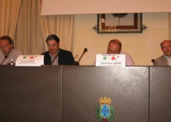 Una metropolitana leggera che collega Sibari al Sant’Anna, dibattito a Rossano