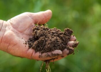 Innovazione agricoltura, a Santa Severina gli Oscar Green 2014