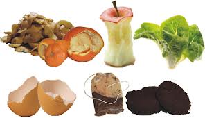 Il comune assegna le compostiere per l’umido