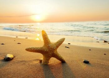 Programma estivo 2014 Ciro’