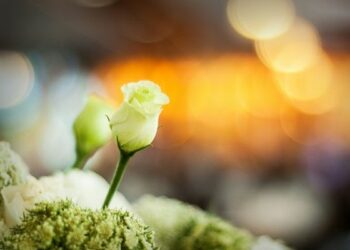 Un’ora di silenzio per il giovane Francesco Morfo’