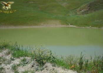 Laghetto artificiale senza autorizzazione, due denunce a San Mauro