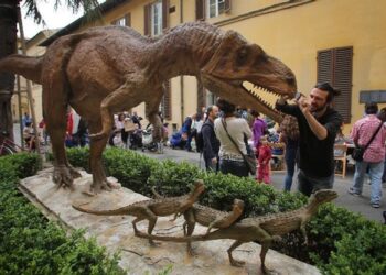 Concorsi al Museo di Storia Naturale, il Bando per partecipare